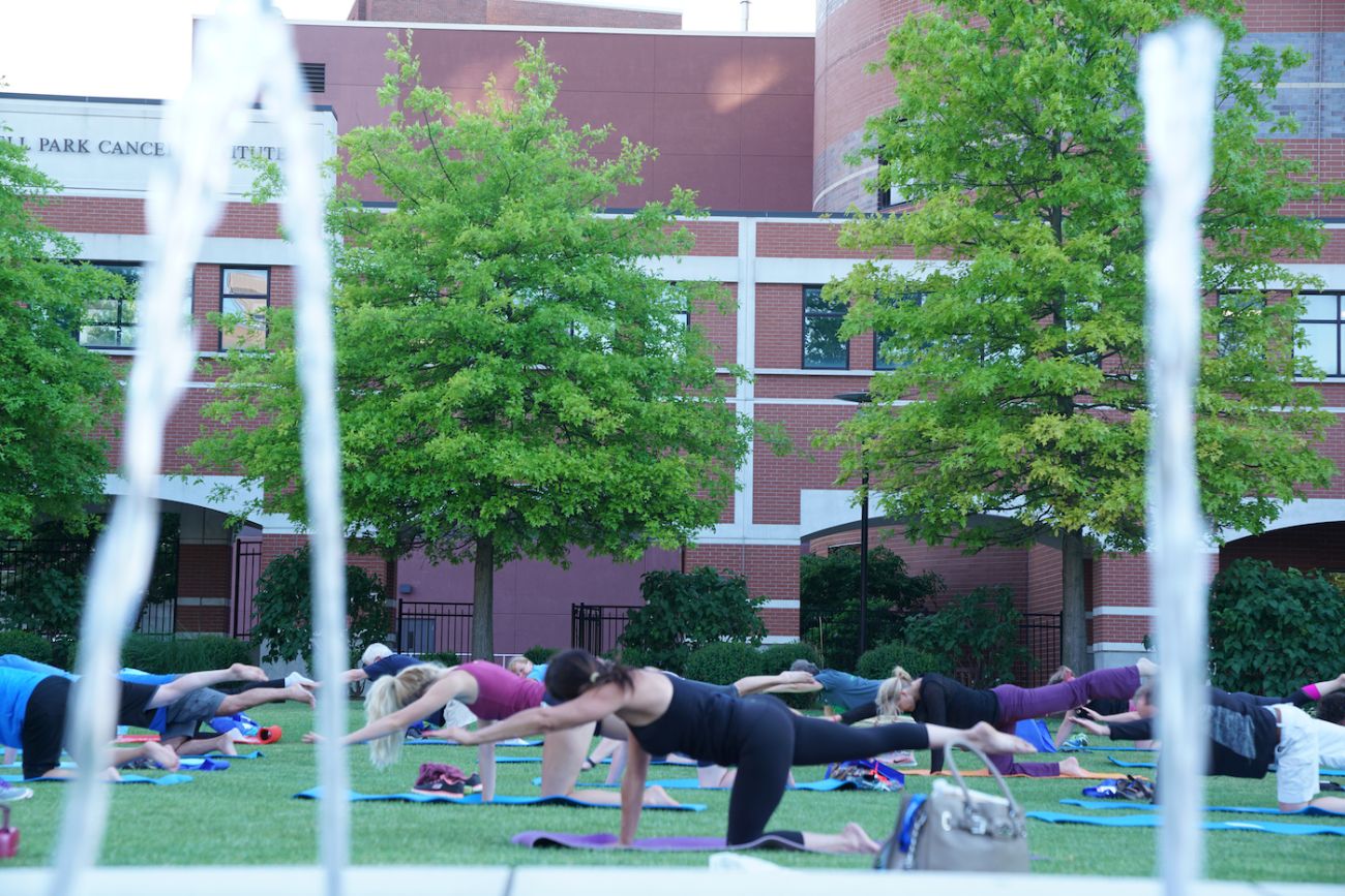 chapter 2 cancer surivor workshop 2017 yoga