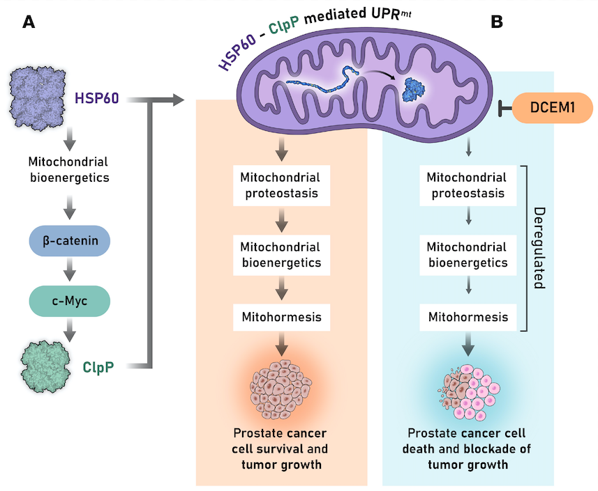 A figure from a research journal