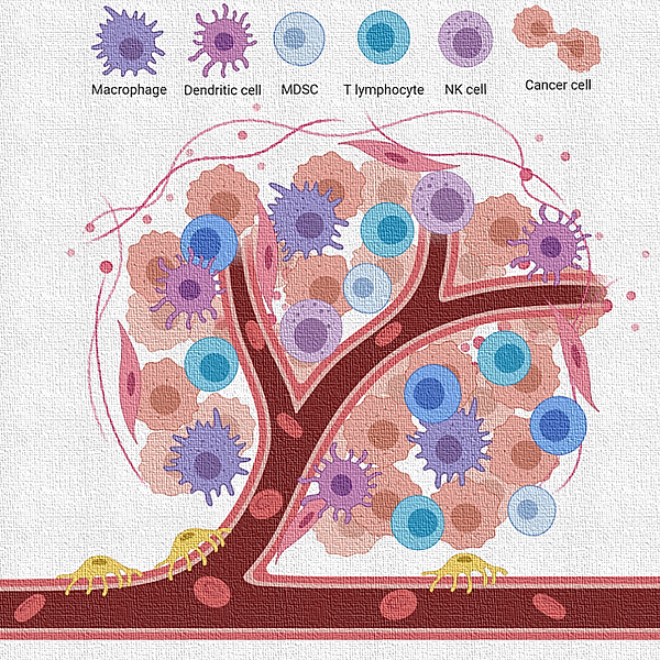 Figure from a scientific research study