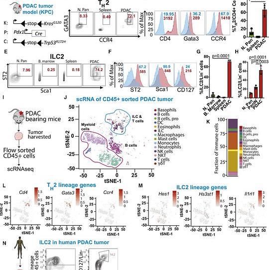 Figure from a scientific study