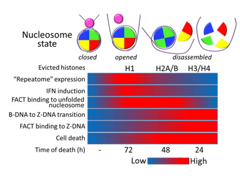 Figure from a scientific research study