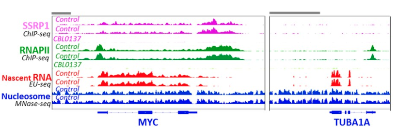 Figure from a scientific research study