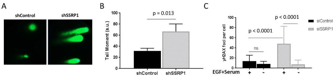 Figure from a scientific research study