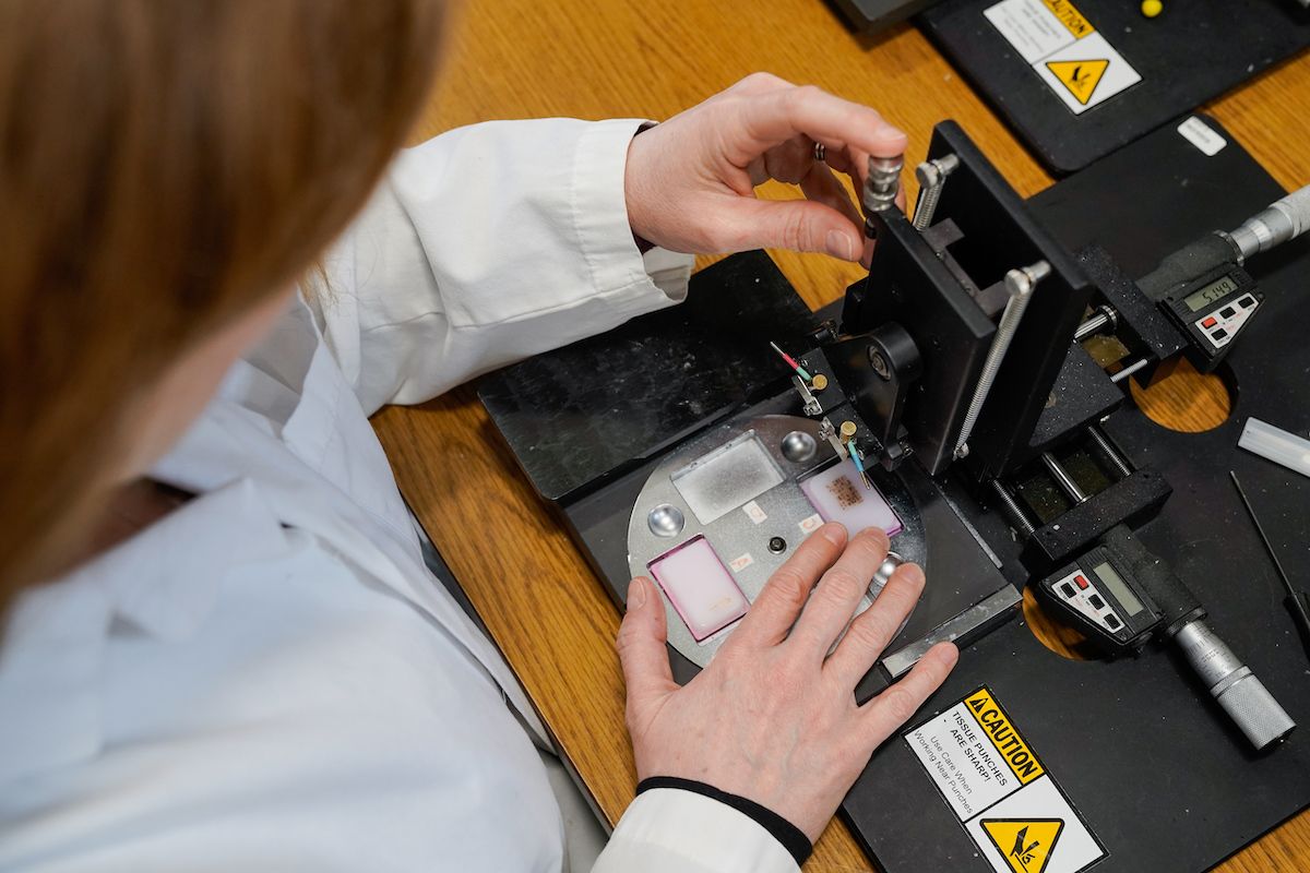 Scientist working in a lab