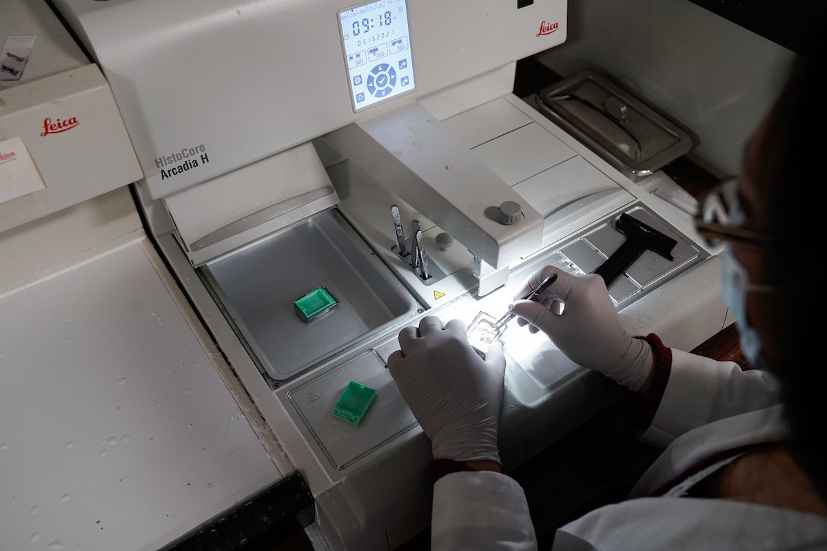 Scientist working in a lab