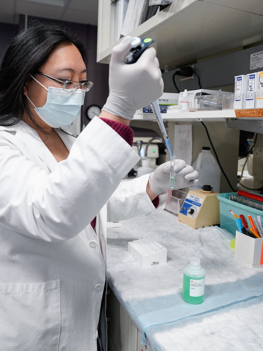 Scientist working with test tubes