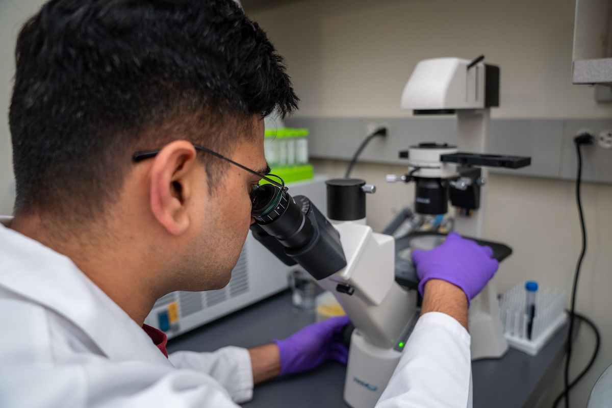 Scientist looking through a microscope