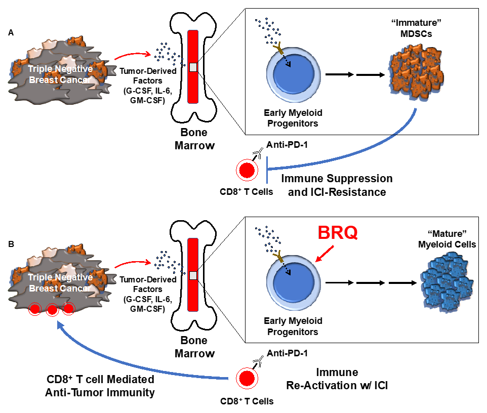 Figure from a scientific research study