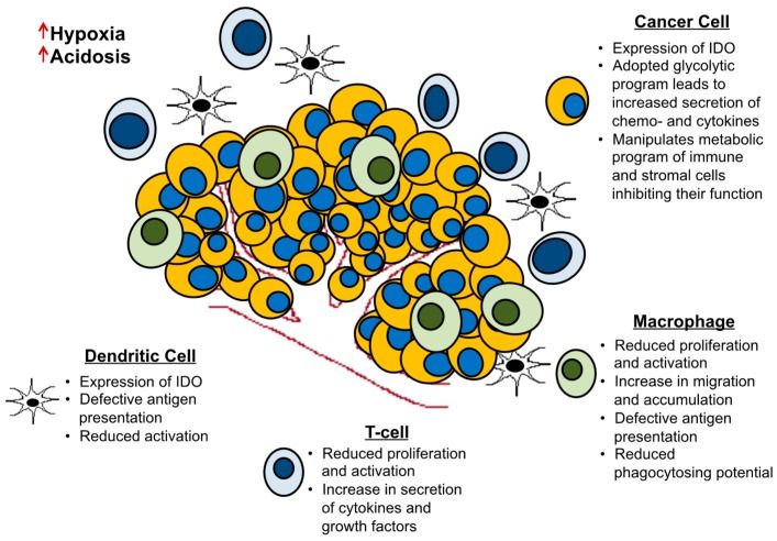 Figure from a scientific research study