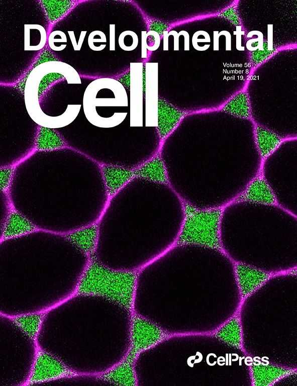 Cover of Developmental Cell