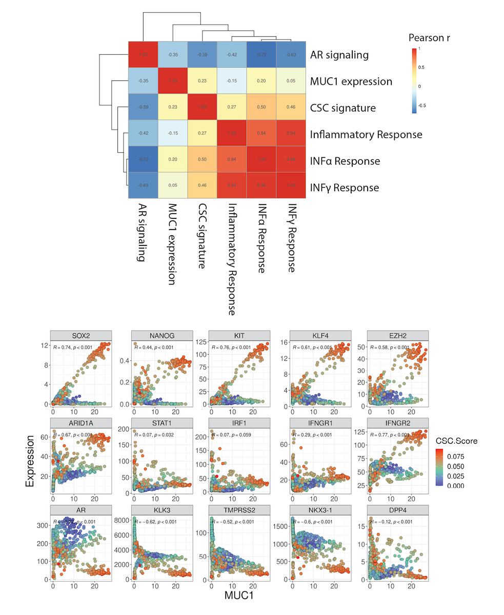 Figure from a scientific research study