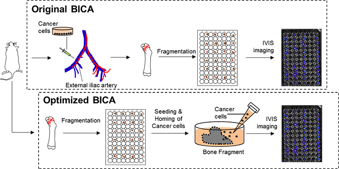 Figure from a scientific research study