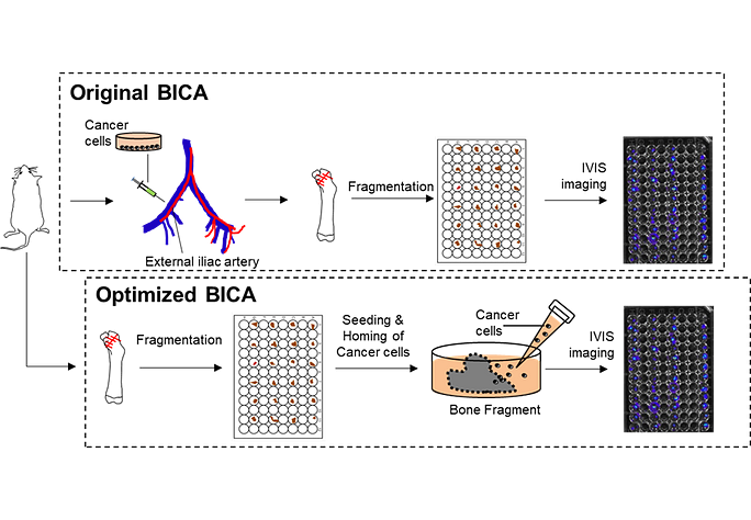 Figure from a scientific research study