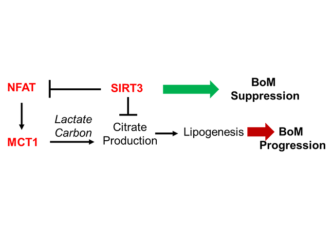 Figure from a scientific research study