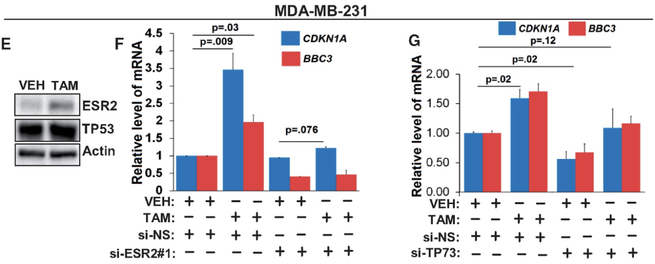 Figure from a scientific research study