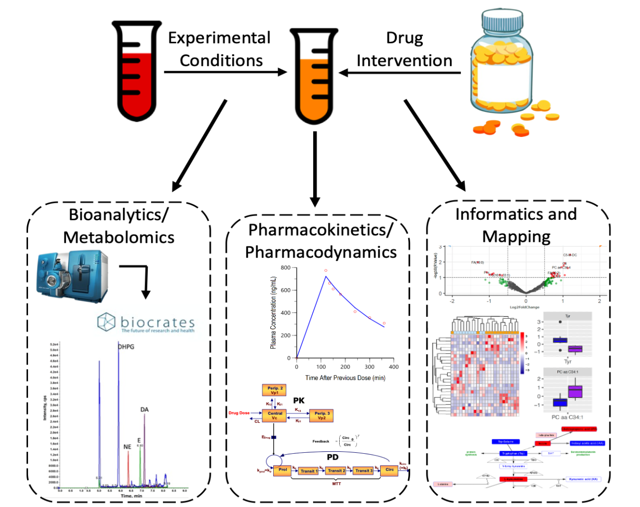 Medical illustrations showing the work of the BMPK Shared Resource