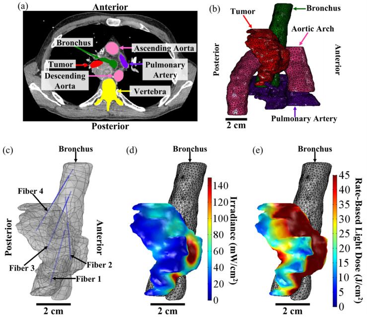 Figure from a scientific research study