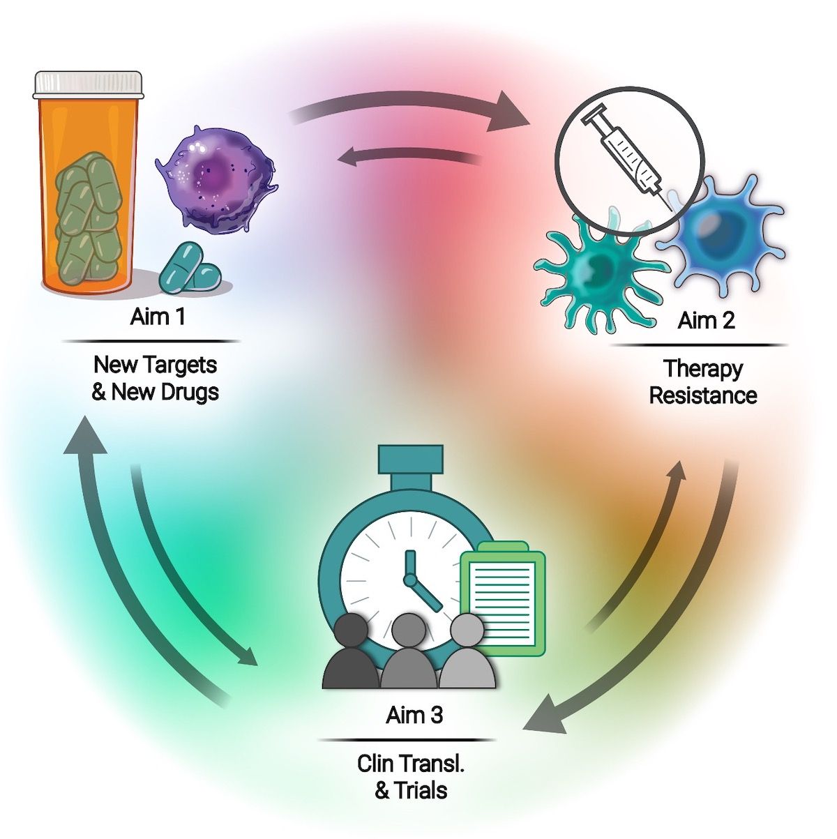 The aims of the Developmental Therapeutics Research Program