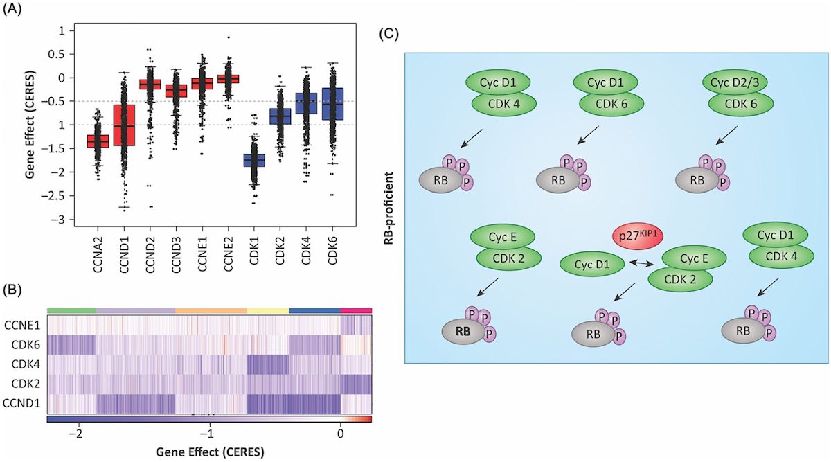 Figure from a scientific research study