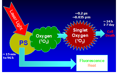 Figure from a scientific research study