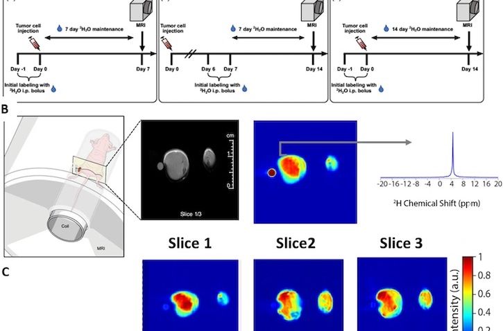 Figure from a scientific research study