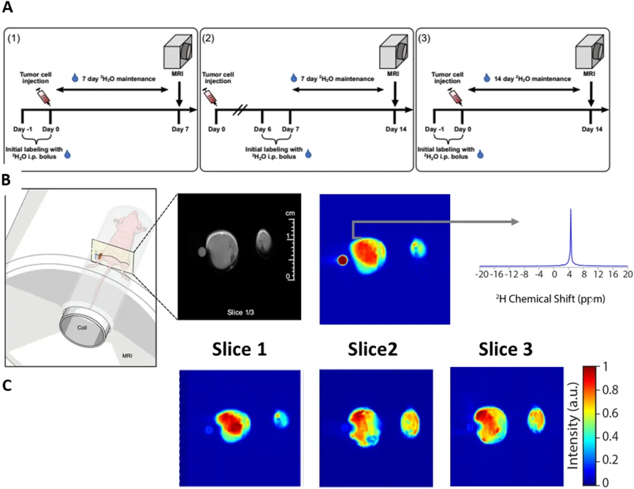 Figure from a scientific research study