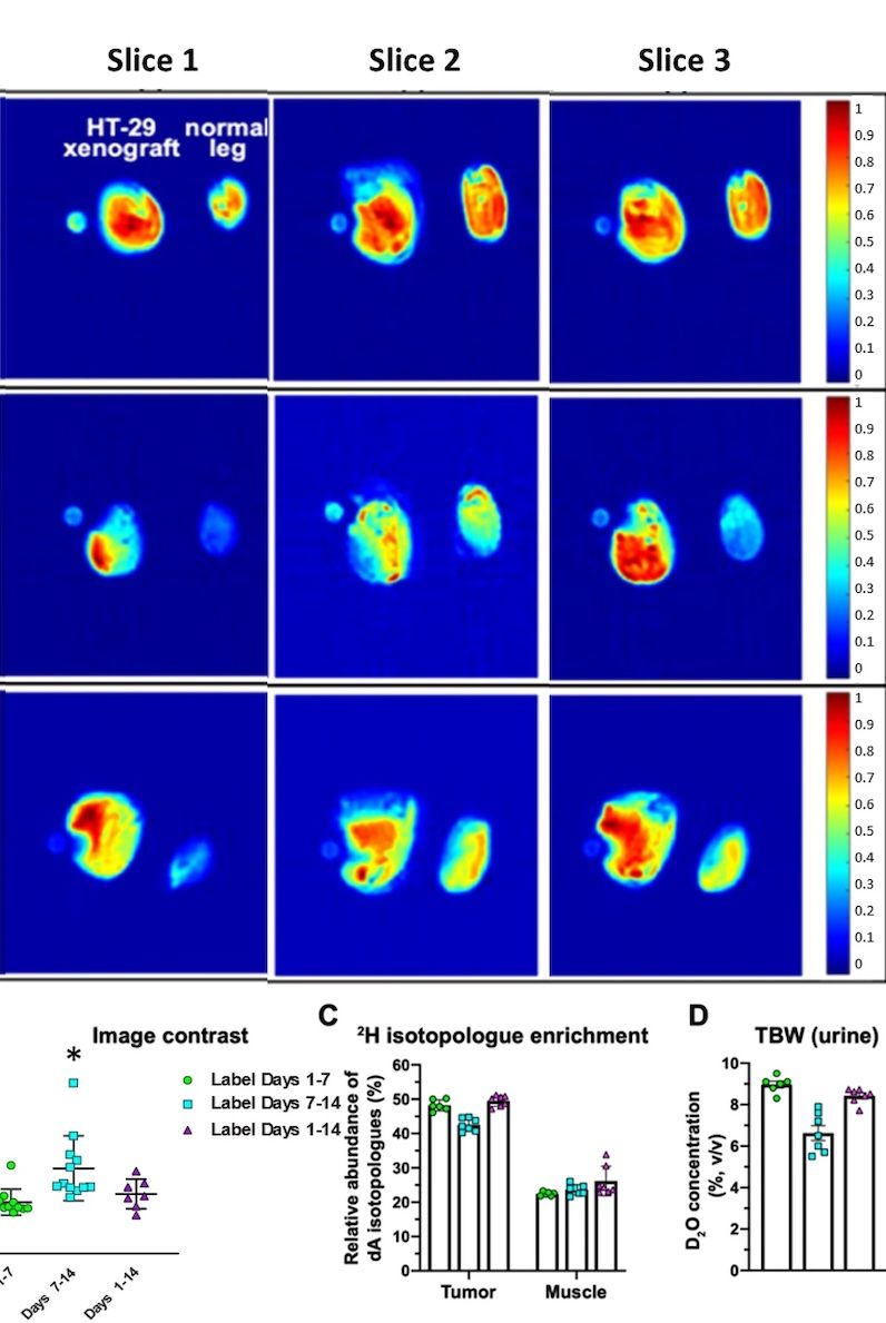 Figure from a scientific research study