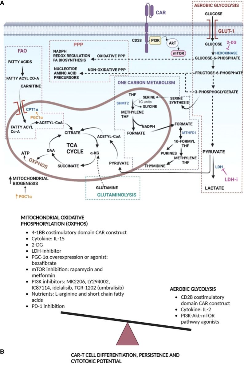 Figure from a scientific research study