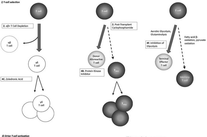 Figure from a scientific research study