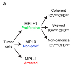 Figure from a scientific research study