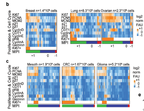 Figure from a scientific research study