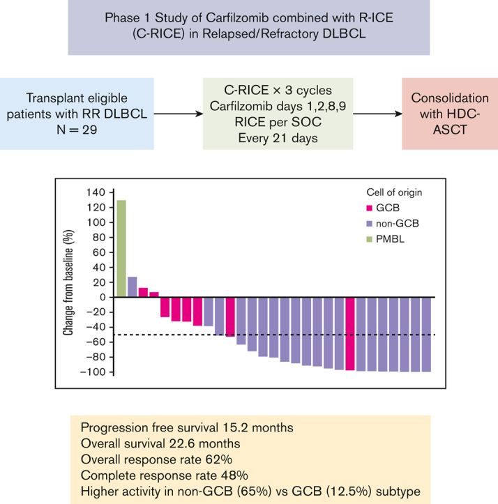 Figure from a scientific research study