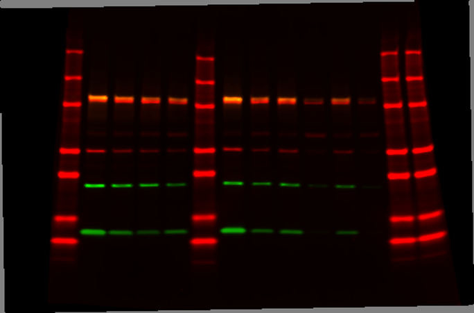 Machine readout from a scientific research study