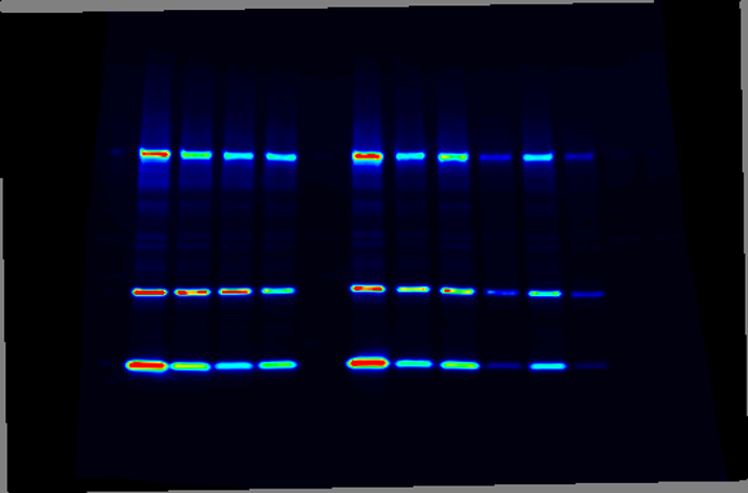 Machine readout from a scientific research study