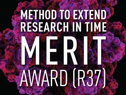R37 Merit Award Badge