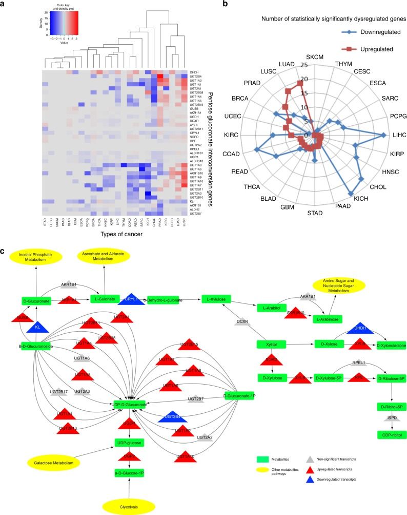 Figure from a scientific research study