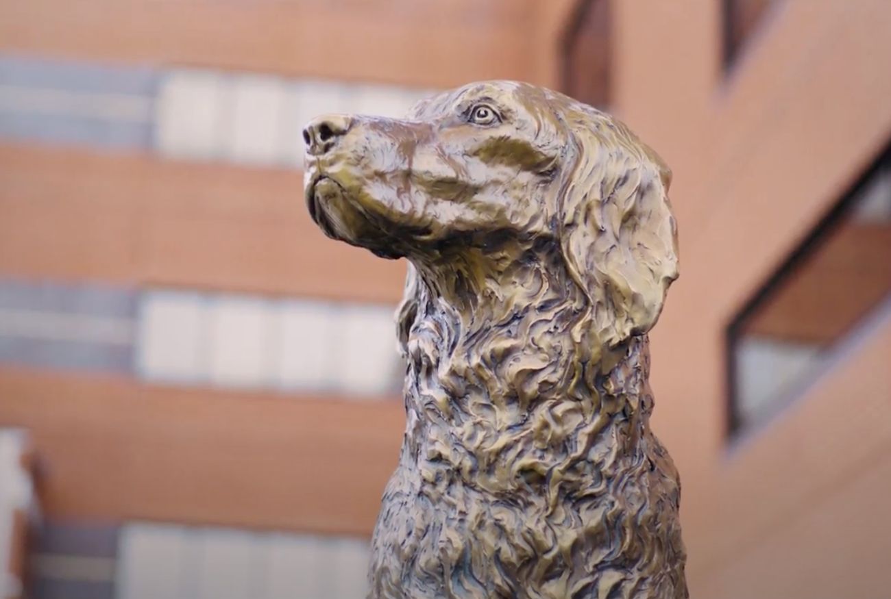 statue of monty the dog