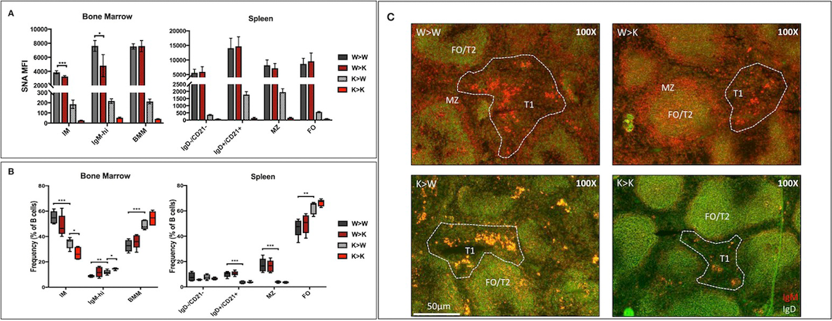 Cell slides and figures from a scientific journal