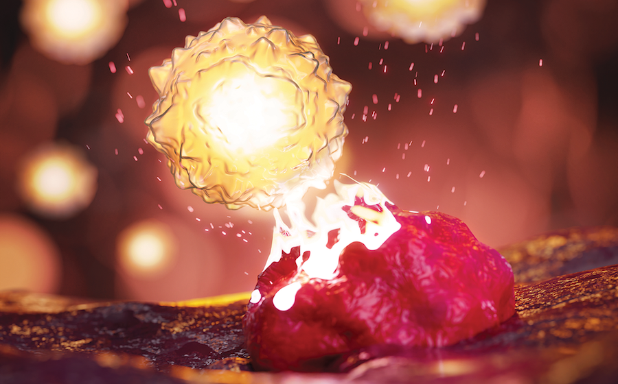 Image of T cell attacking melanoma cell