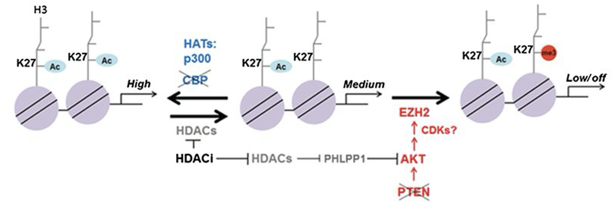 Figure from a scientific research study