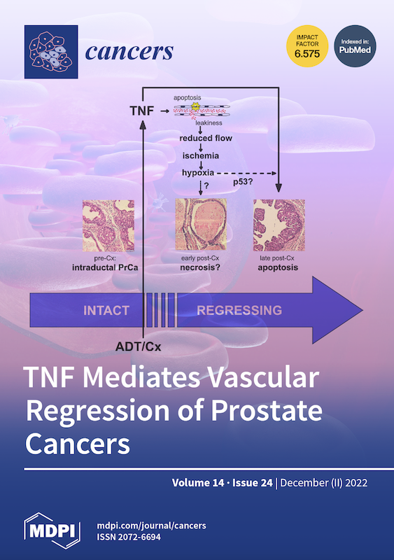 Cover of the scientific journal "Cancers"