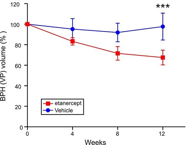 Figure from a scientific research study