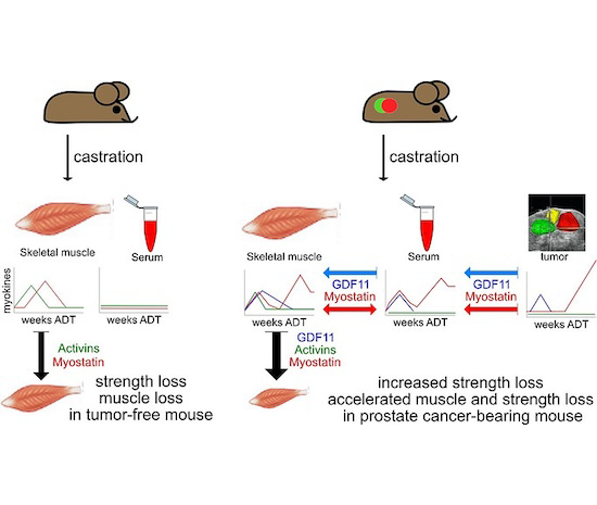 Figure from a scientific research study