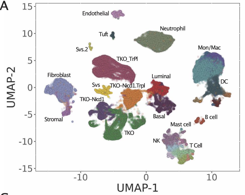 Figure from a scientific research study