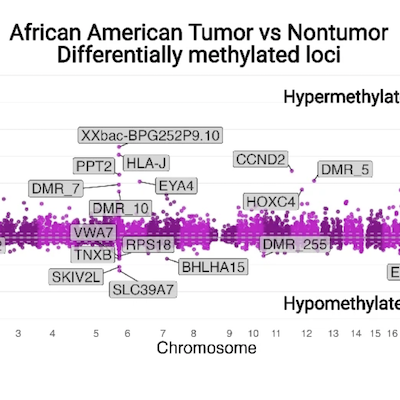 Figure from a scientific research study