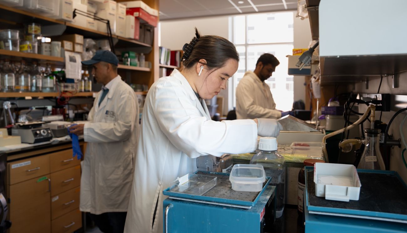 Scientists working in a lab