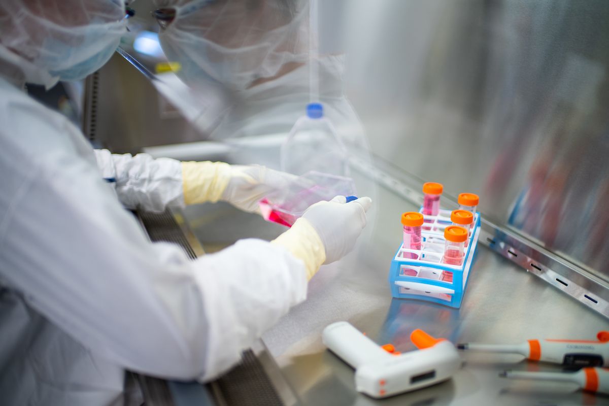 Technician works at lab bench