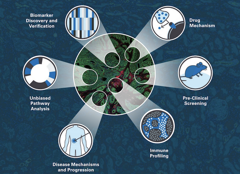 Spatial transcriptomics