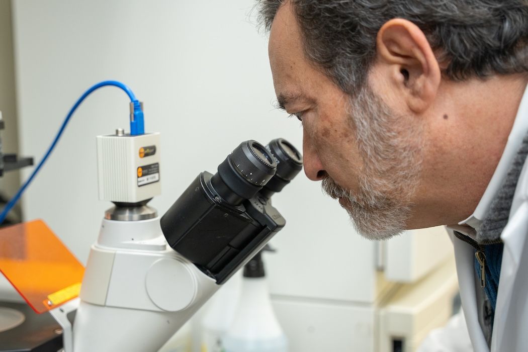 Scientist looking into a microscope