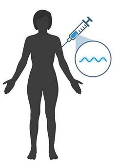 Figure from a scientific research paper